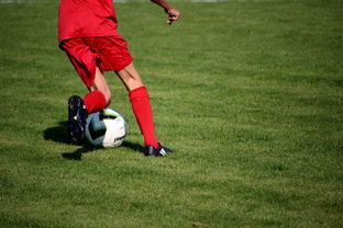 星空娱乐官网入口-CBA球队加强后勤保障体系优化训练和比赛准备,cba后备联赛