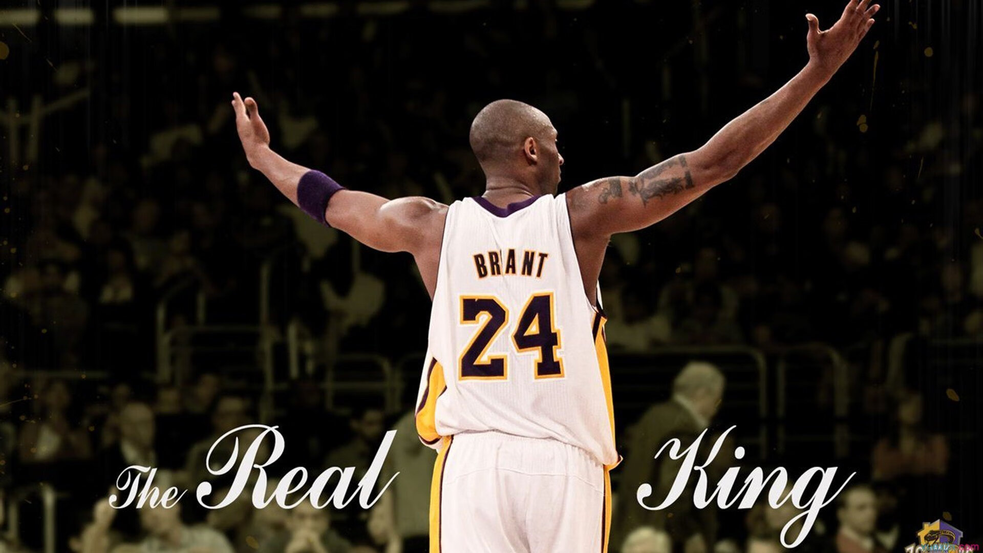 急速冲击:季后赛争冠形势扑朔迷离!,急速冲击完整版